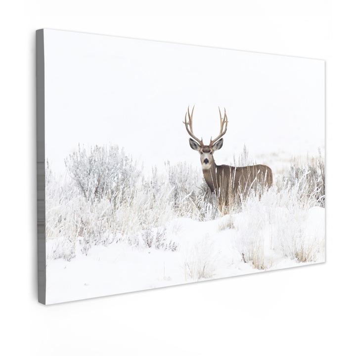 Tablou Canvas, Abstract, Decorative, Living, Bucatarie, Modern Art, Decorarea peretilor Maro deschis 120x80 cm