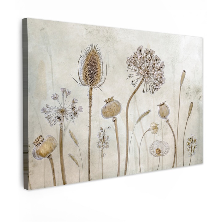 Tablou Canvas, Abstract, Decorative, Living, Bucatarie, Modern Art, Decorarea peretilor Bej 120x80 cm