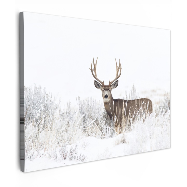 Канава картина, Абстрактна, Декоративна, Дневна, Кухня, Модерно изкуство, Декорация на стени Светло кафяво 80x60 см