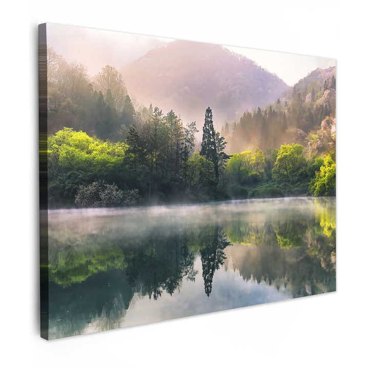 Канава, Абстрактен, Декоративен, Всекидневна, Кухня, Модерно изкуство, Декорация за стена Светлозелен 40x30 см