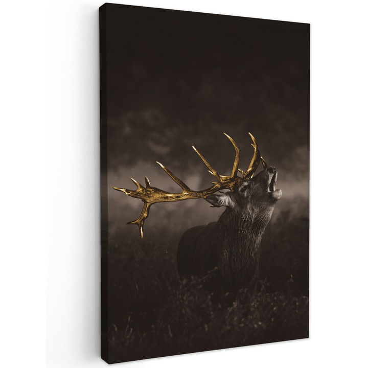 Канава картина, абстрактна, декоративна, за всекидневна, за кухня, модерно изкуство, декорация на стена, кафява 80x120 см