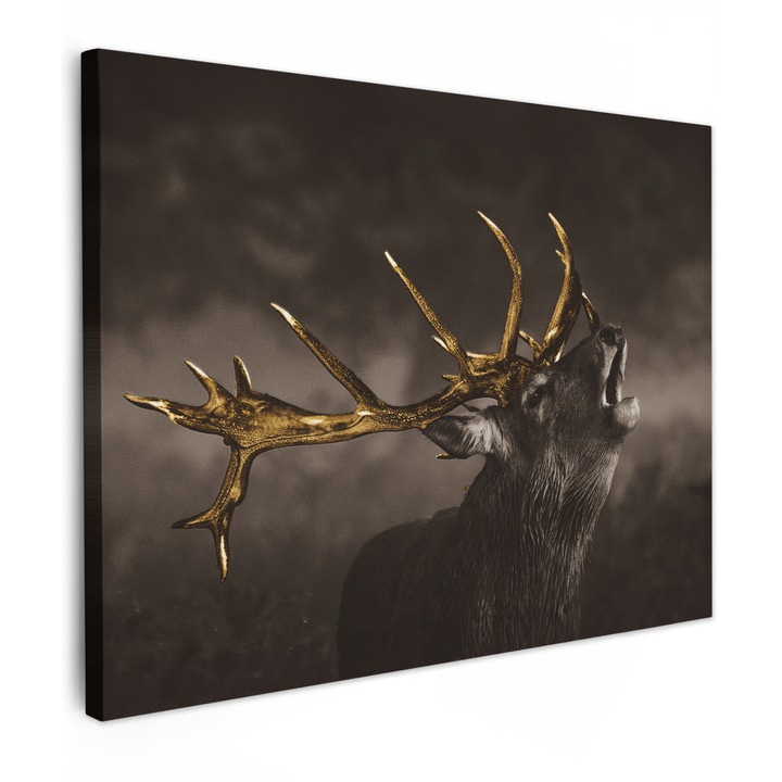 Канава картина, Абстрактна, Декоративна, Дневна, Кухня, Модерно изкуство, Декорация на стени Кафяво 80x60 см