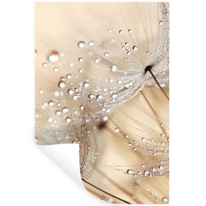 Декоративен стикер за стена, самозалепващ PVC винилов стикер, хол, кухня, модерно изкуство, декорация на стени 40x60 см