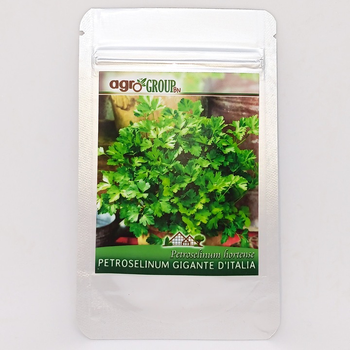 Seminte de Patrunjel Gigant Petroselinum Hortense Parsley Gigante d'Italia - Agro Group BN