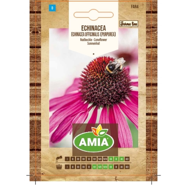Seminte de echinaceea, Echinacea officinalis, 0.5 gr