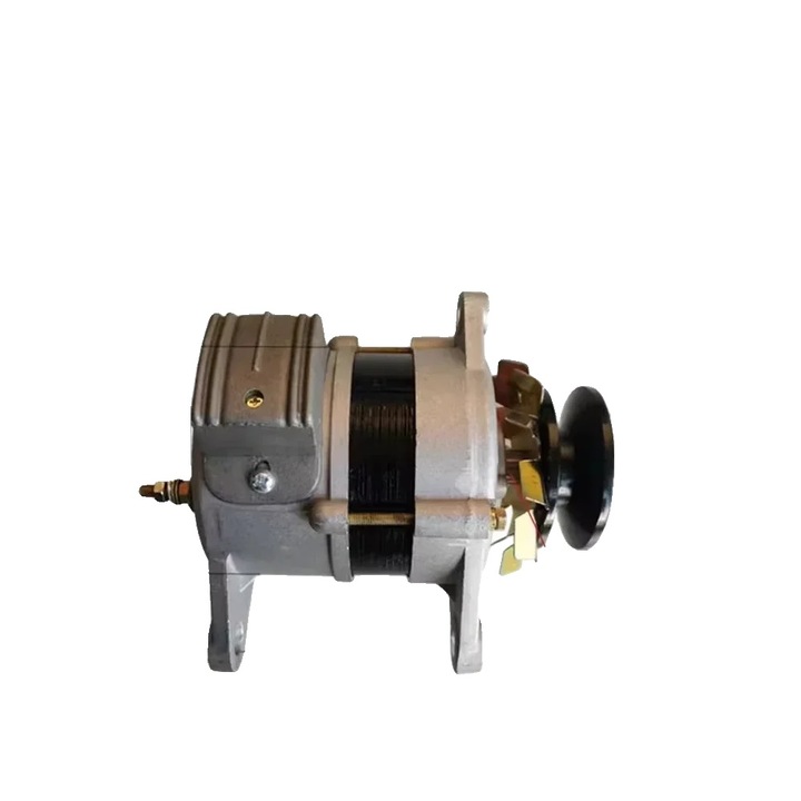 Generator electric, 800W, 220V, design fara perii, constructie durabila