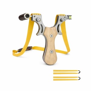 Arme sporturi de precizie