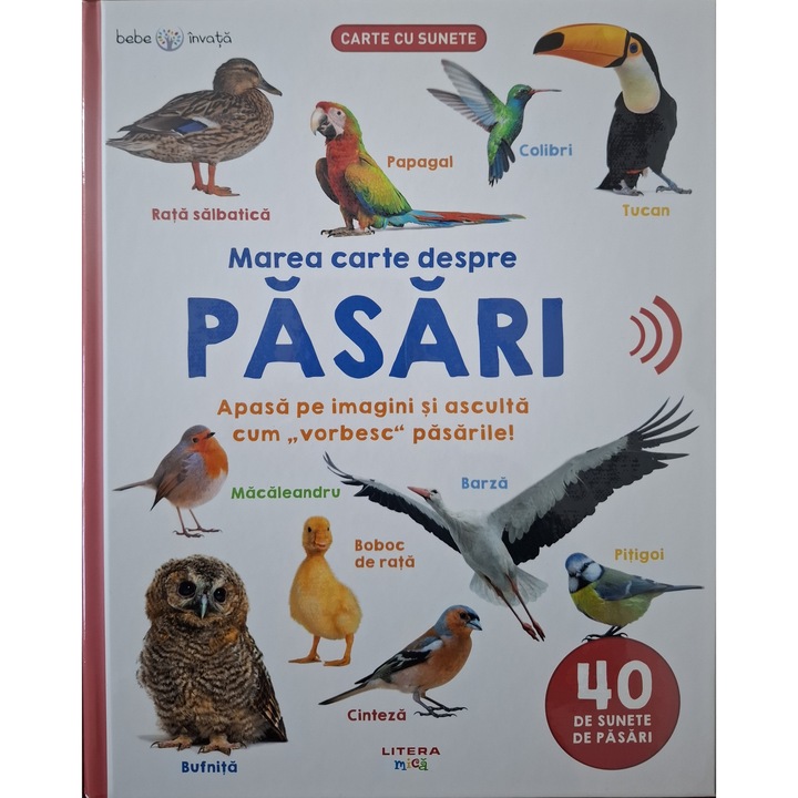 Marea carte despre pasari, 40 de sunete de pasari