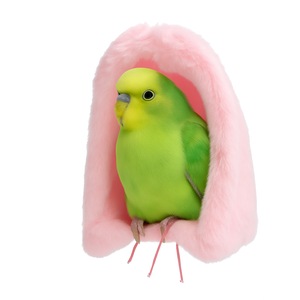 Kutyaházak, ketrecek és kalitkák