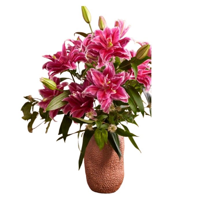 Bulbi Crini Orientali Parfumati Grand Amour, set 3 bucati, 18/20, flori duble, multicolor