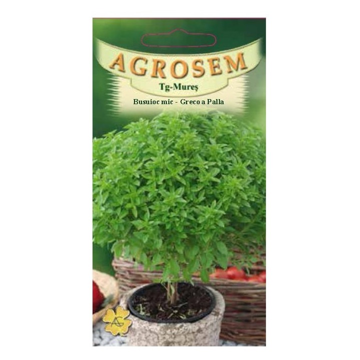 Seminte, Busuioc mic Greco 0.4gr