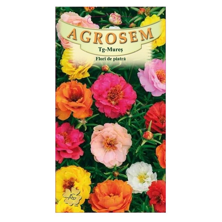 Seminte, Flori de piatra mix 0.3gr