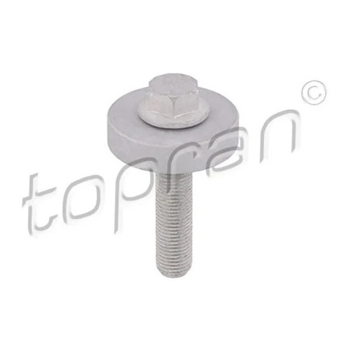 Surub Fulie Topran 701418, compatibil Dacia și Nissan, omologat RAR