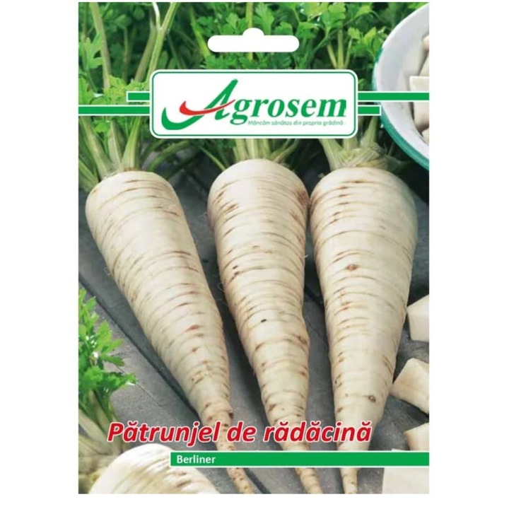 Seminte Patrunjel BERLINER 5 gr