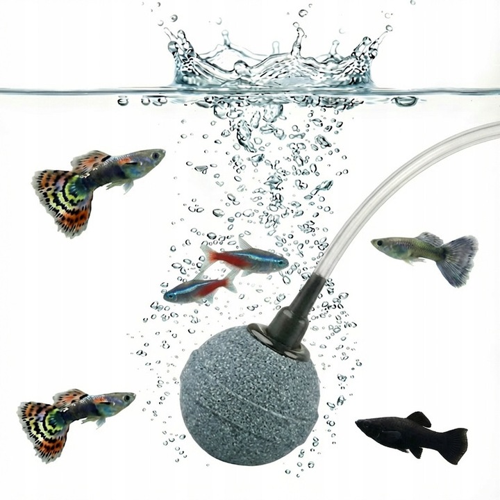 Piatra de aerare acvariu bila Ø3 cm pentru furtun 4/6 mm