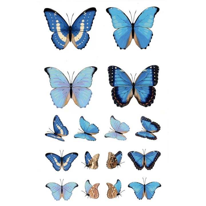 Tatuaj temporar, Flash Tattoos Romania, Blue Dream Butterfly, rezistent la apa, 12 x 7 cm