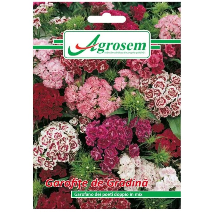 Seminte Flori GAROFITE DE GRADINA MIX 0, 3 gr
