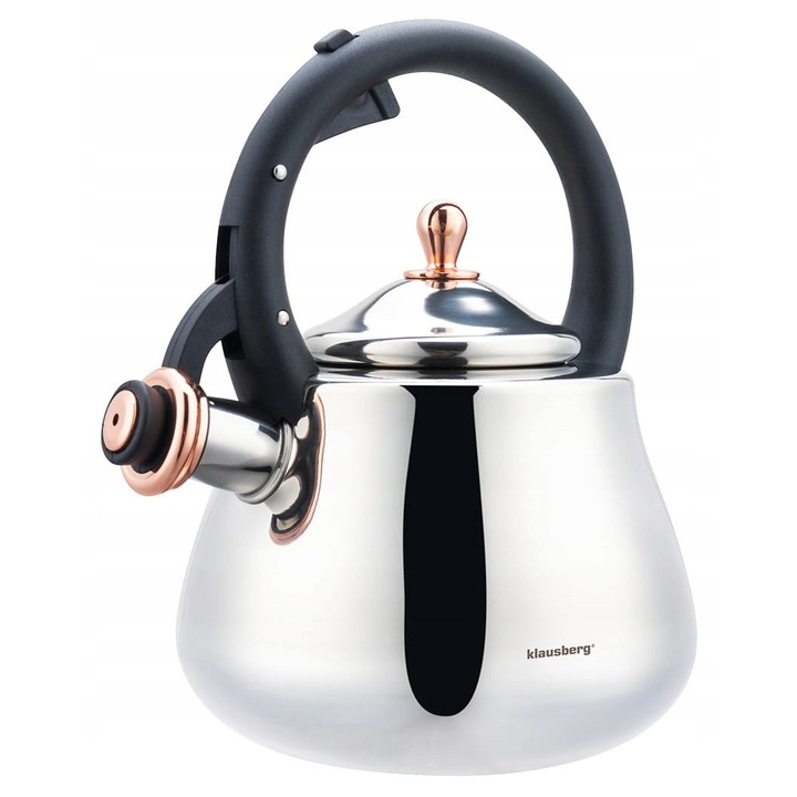 Ceainic traditional din otel, 2.8L, argintiu