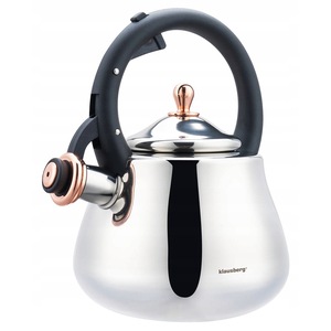 Ceainice si infuzoare