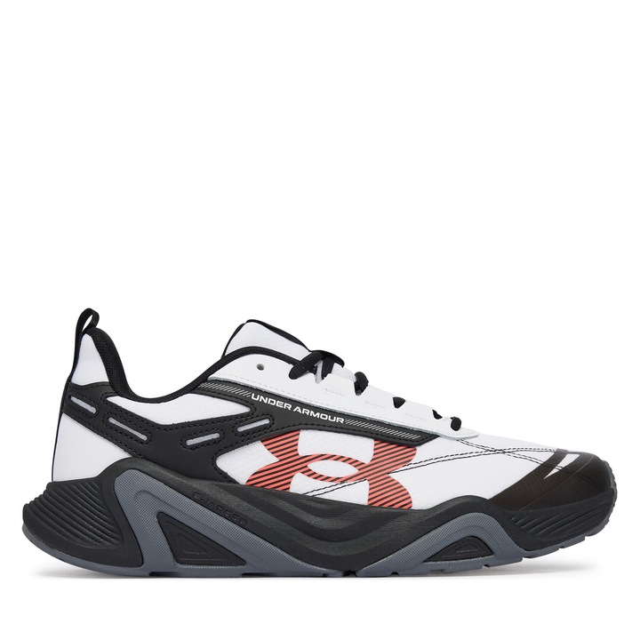 Pantofi sport barbati, Under Armour, tesatura, multicolor