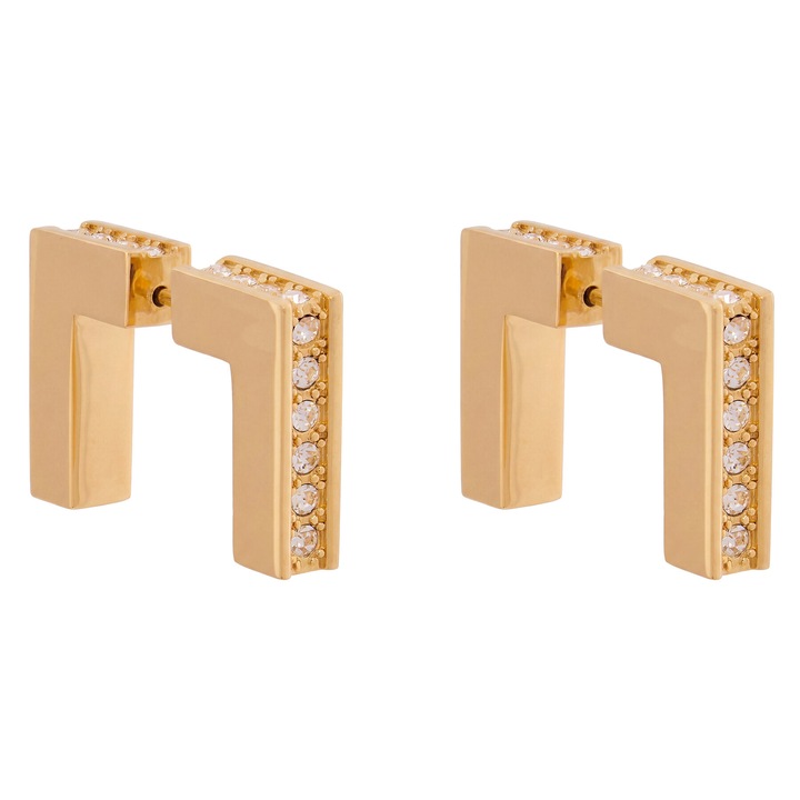 Cercei dama, Elisabetta Franchi, auriu, plastic, One Size INTL