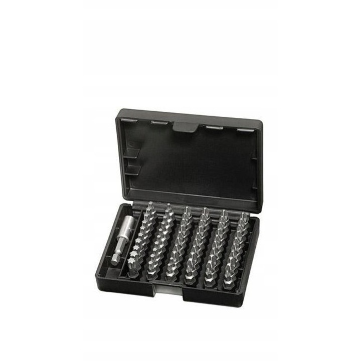 Set de biti FORMAT 61 piese, PH/PZ/TORX, cu suport magnetic, dimensiuni 340x120x80mm