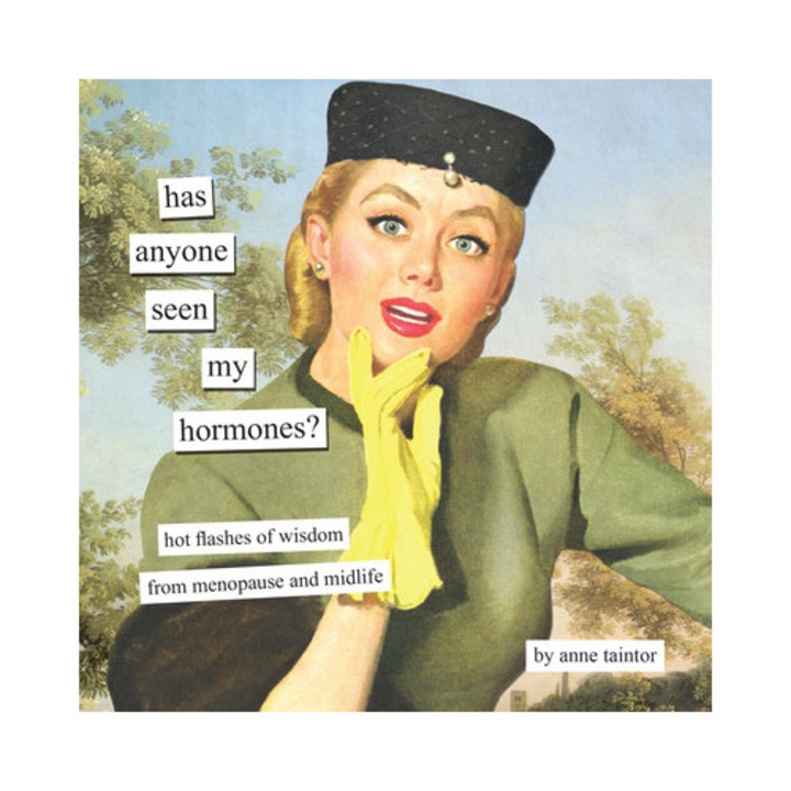 Has Anyone Seen My Hormones?: And Other Hot Flashes Of Wisdom From Menopause And Midlife - Anne Taintor