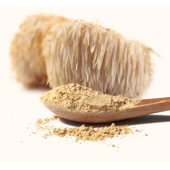 Pudra BIO Coama Leului Biovicta 125 g, 100% naturala, suport pentru memorie si concentrare