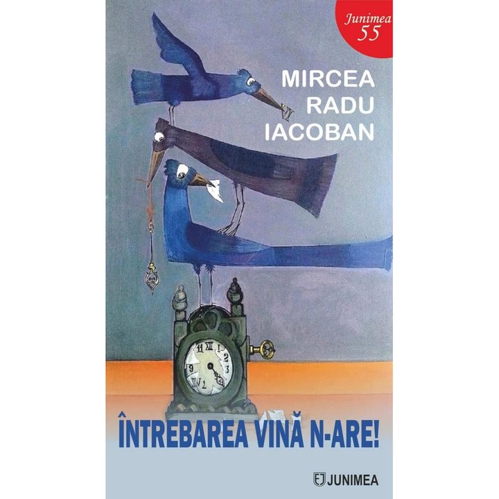 Intrebarea vina n-are!, Mircea Radu Iacoban