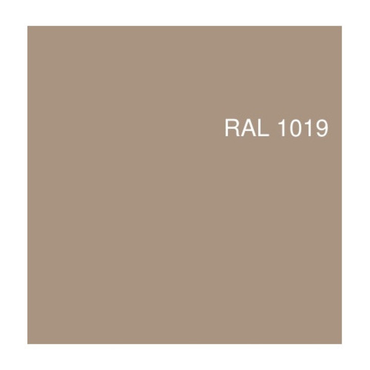 Vopsea auto acrilica APP RAL 1019, 400ml, gri bej