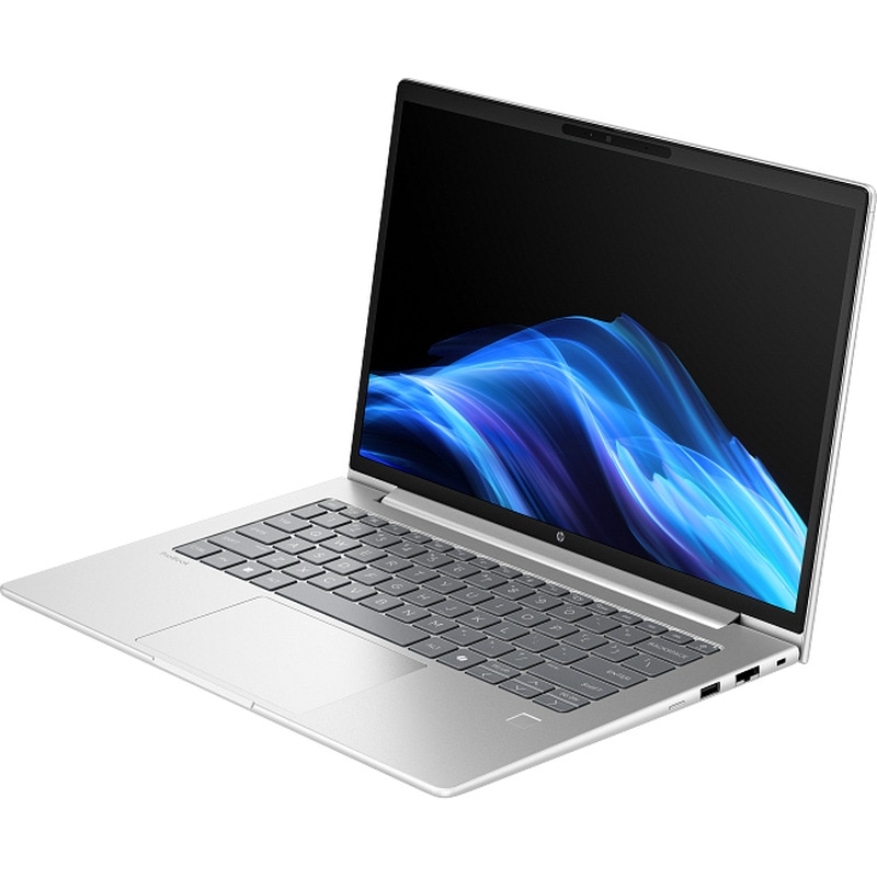 Laptop HP ProBook 4 G1i cu procesor Intel Core Ultra 7 225U, 14 inch, 24 GB RAM DDR5, 2 TB SSD, Intel Graphics, Windows 11 Pro, Argintiu