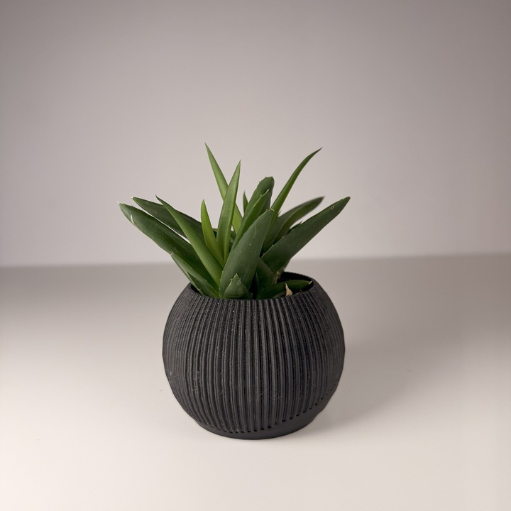 Ghiveci pentru plante mici (planta nu este inclusa), Diametru intern 6 cm, Negru, Printat 3D din PLA ECO(plastic biodegradabil)