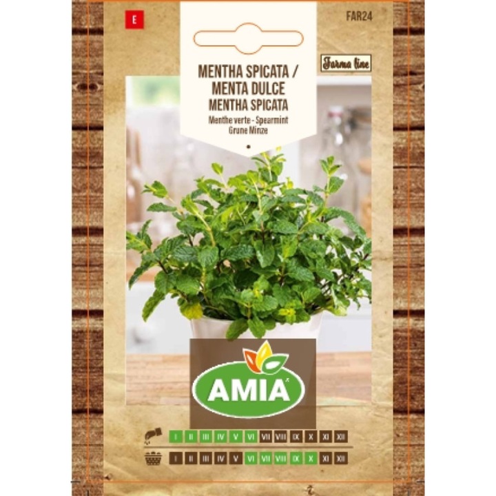 Seminte de menta spicata/menta dulce, Amia Mentha spicata