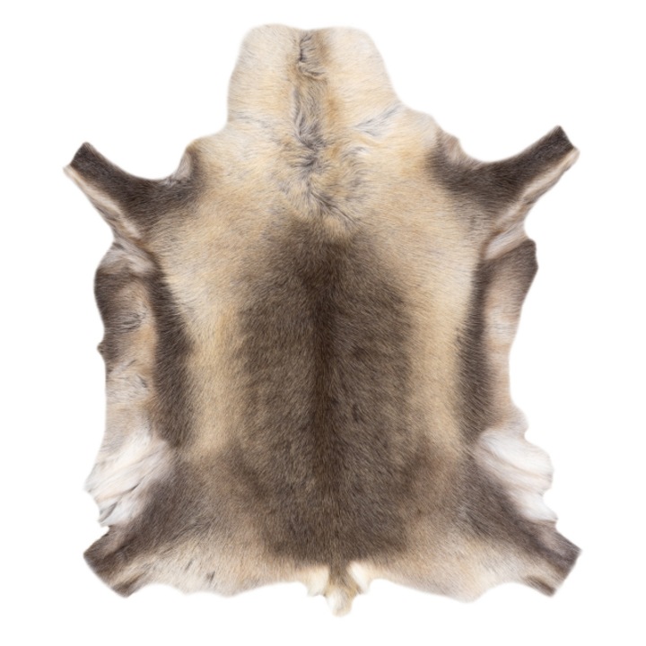 Covor renifer – piele naturala, DYWANY ŁUSZCZÓW decorativ, aruncat – premium pok012 gri / bej, 100x120 cm