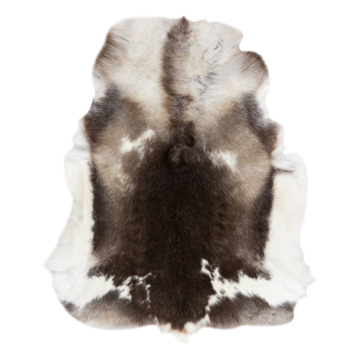 Covor renifer – piele naturala, DYWANY ŁUSZCZÓW decorativ, aruncat – premium pok003 maro / alb, 100x120 cm