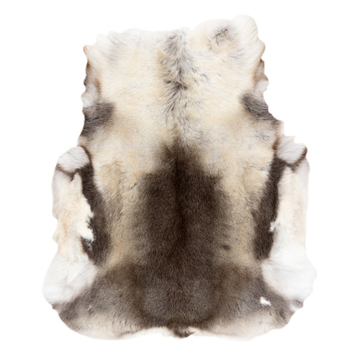 Covor renifer – piele naturala, DYWANY ŁUSZCZÓW decorativ, aruncat – standard pok017 gri / alb, 100x120 cm