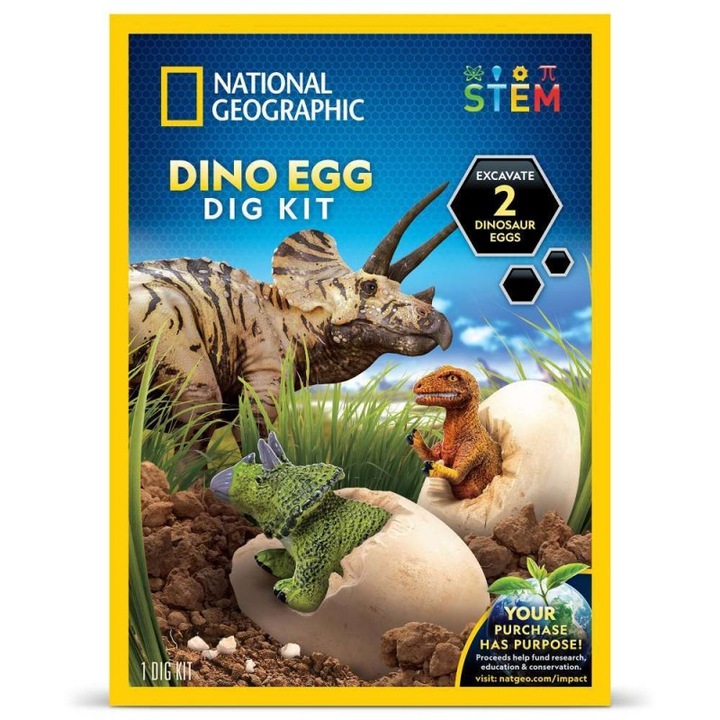 Set educativ excavare oua de dinozauri, +8 ani