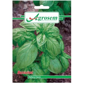 Bulbi, seminte si rasaduri