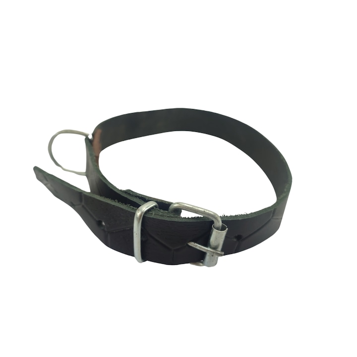Curea de piele groasă pentru câini, 2.5x60cm