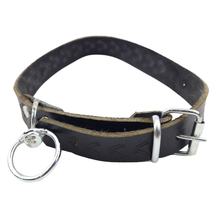 Lesa pentru câini din piele, 2.5x55cm