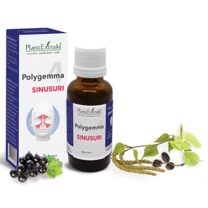 Polygemma 4 Sinusuri, Plant Extract, 50 ml, extracte gemoterapice, lichid