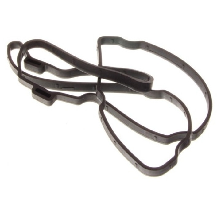 Garnitura Capac Supape Dr.Motor, 256x85mm, 630N, pentru Mitsubishi Colt 1.1 04-