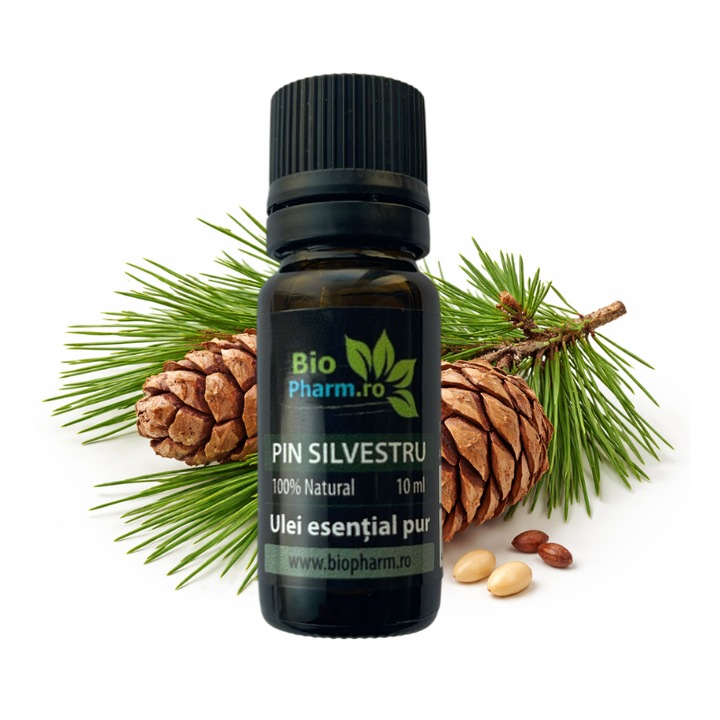 Ulei esential pur de pin silvestru, 10ml