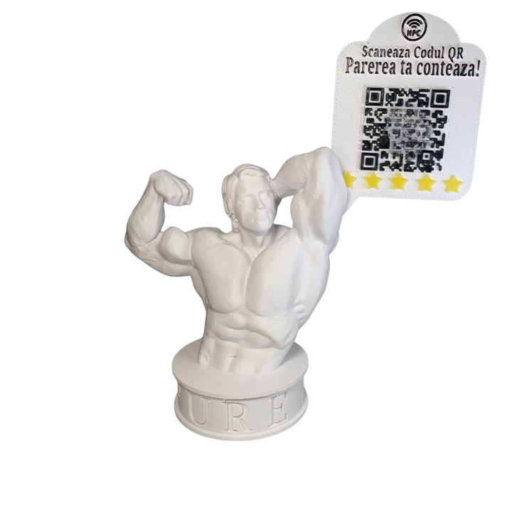 Statueta Recenzii- Sala Fitness