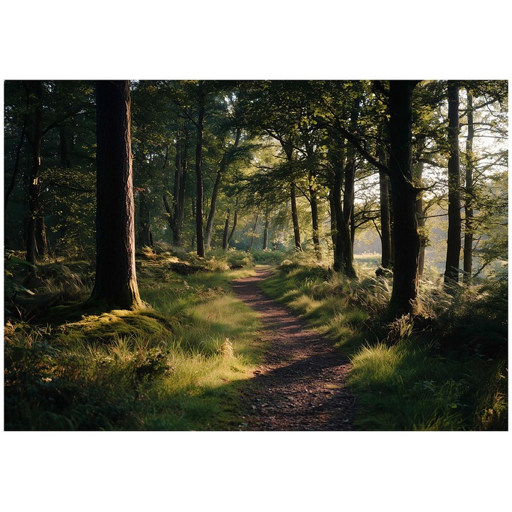 Fototapet, Padure, Natura, Copaci, Verde, 150x105 cm, Modern, Vlies, Tapet, Pentru Dormitor, Camera, Living, Perete, Decorare, 16387VX3