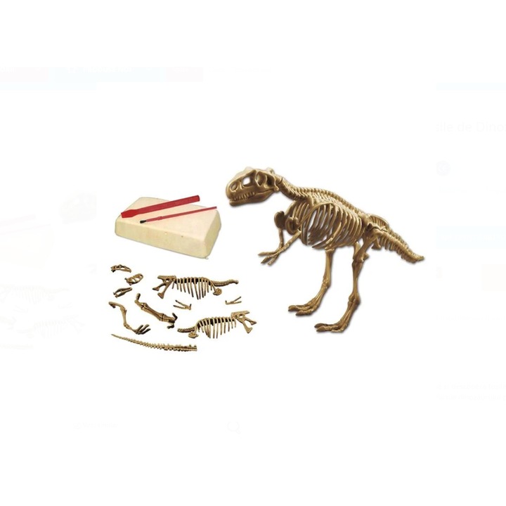 Set Excavare Fosile de Dinozaur, Zanox, activitate educativa, 4 ani, multicolor