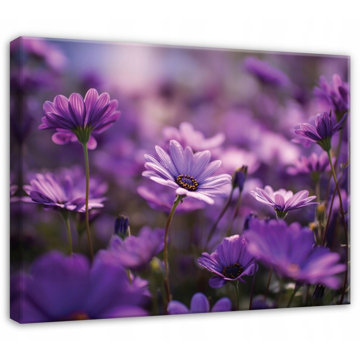 Канава, Цветя, 60x40 см, Картина, Декорация, Всекидневна, Кухня, Картини за стена, PP16450O4