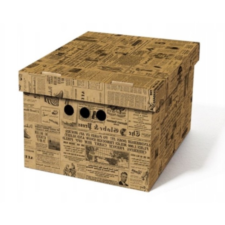 Cutie depozitare cu capac, DekorHome, 35x26,3x18,6cm, 1 bucata