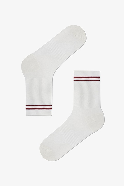 Penti, Sosete cu dungi contrastante, Alb/Visiniu, 36-40