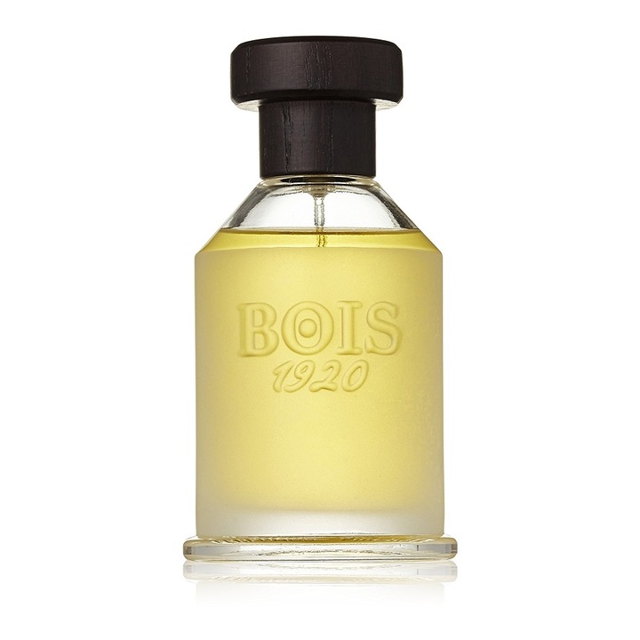 Bois 1920, Vetiver Ambrato, Apa de Toileta, Unisex, 100 ml